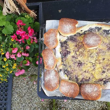 Ave Restaurant Pensjonat