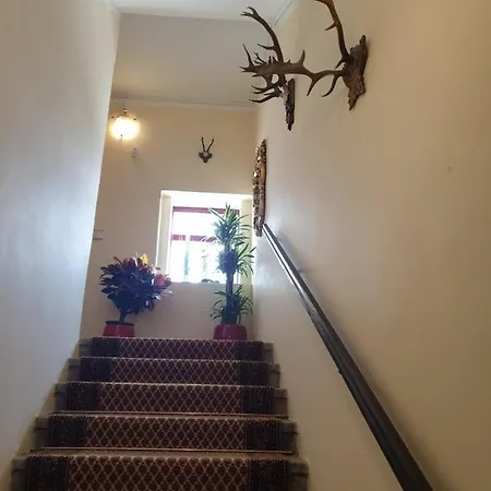 Pensjonat Ave Restaurant